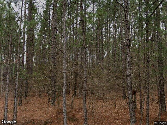 Street view of 141 Woods Road, San Mateo, FL 32187, GA 30286